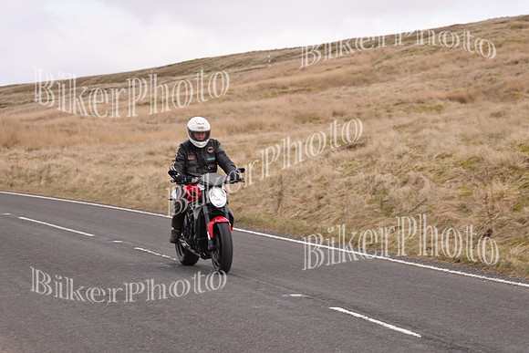 Dave 3N3A2350 (64)
