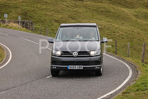 Steve - 3N3A9999 (2543)