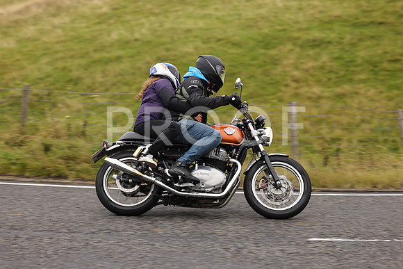 Steve - 3N3A9999 (1190)