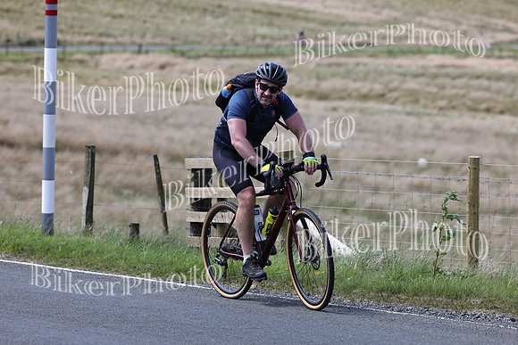 Dave (73)