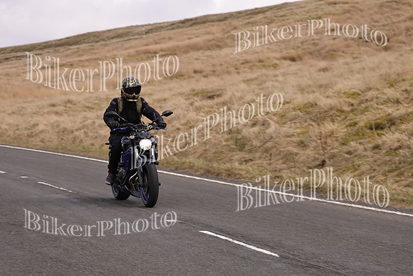 Dave 3N3A2350 (53)