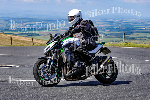 0W9A0209 (2)