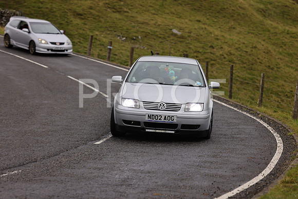 Steve - 3N3A9999 (1607)