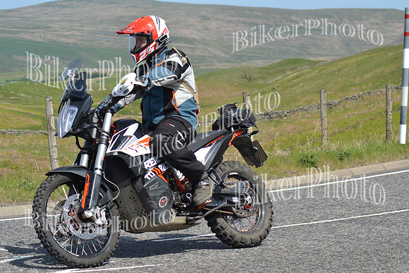 Andy (76)