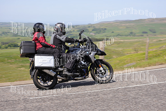 Dave (872)