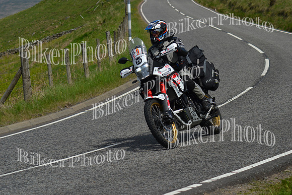 Andy (135)