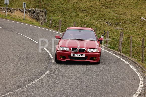 Steve - 3N3A9999 (3483)