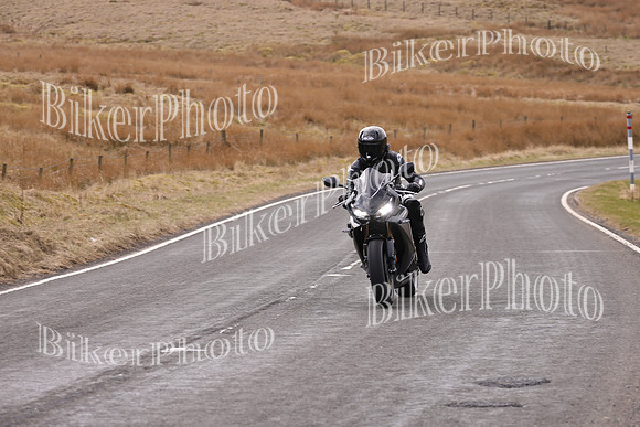 Dave 3N3A2350 (23)