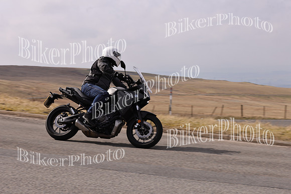 Dave 3N3A2350 (159)