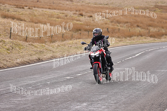 Dave 3N3A2350 (10)