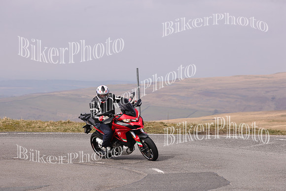 Dave 3N3A2350 (687)