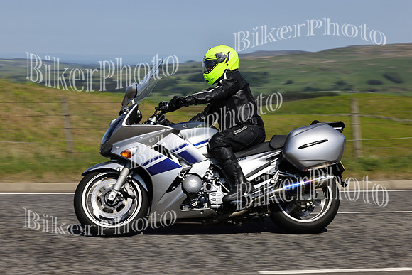 Steve (1324)