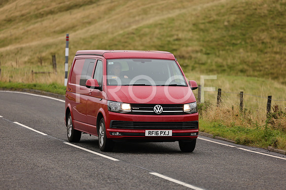 Steve - 3N3A9999 (1631)