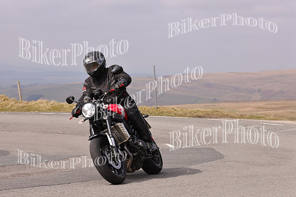 Dave 3N3A2350 (654)