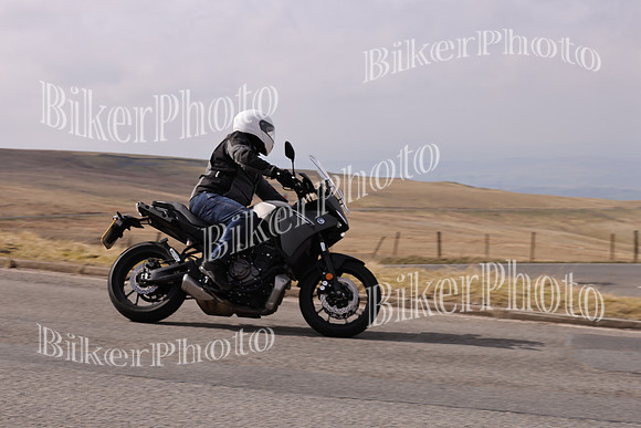 Dave 3N3A2350 (161)