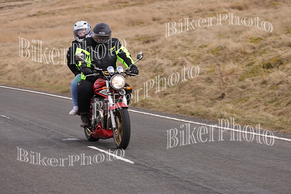 Dave 3N3A2350 (80)