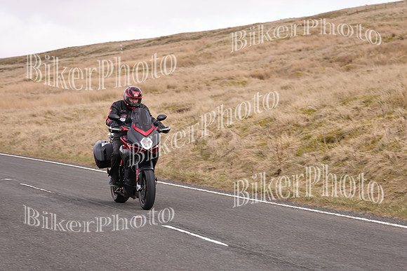 Dave 3N3A2350 (68)