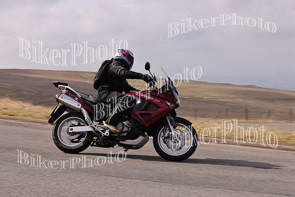 Dave 3N3A2350 (102)