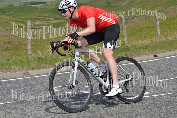 Andy (158)