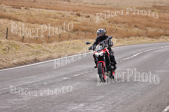 Dave 3N3A2350 (9)