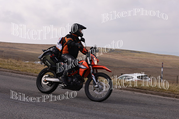 Dave 3N3A2350 (114)