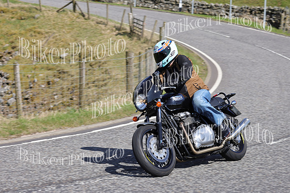 Dave (821)