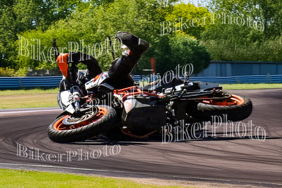 IMG_7674 105-2