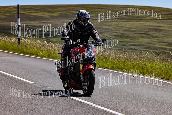 3N3A8301