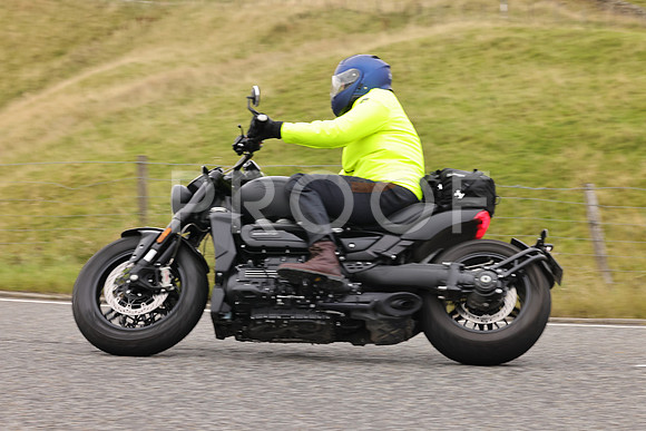 Steve - 3N3A9999 (4970)