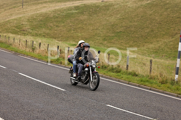 Steve - 3N3A9999 (1203)