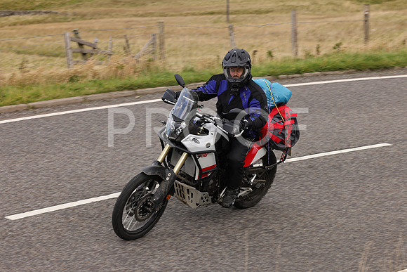 Dave - 3N3A061400 (154)