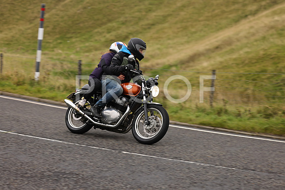 Steve - 3N3A9999 (1183)