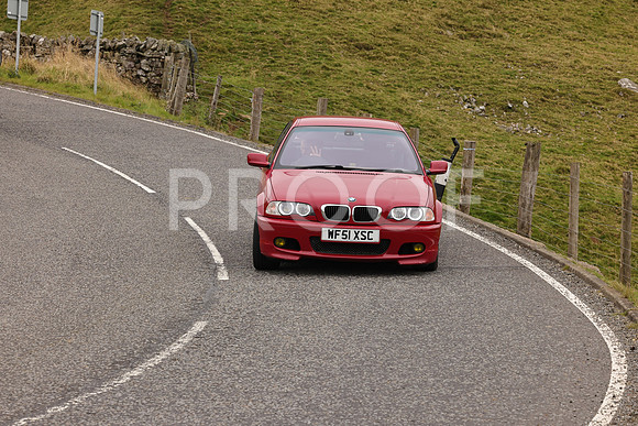 Steve - 3N3A9999 (3481)