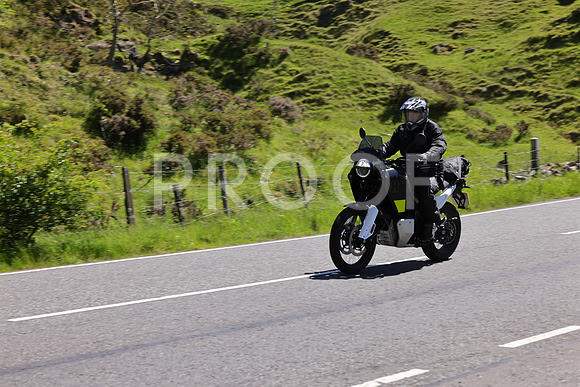 3N3A0561