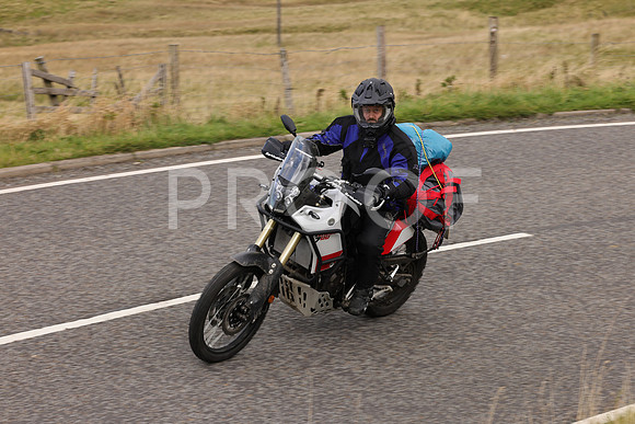 Dave - 3N3A061400 (153)