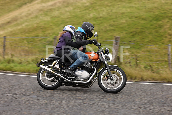 Steve - 3N3A9999 (1188)