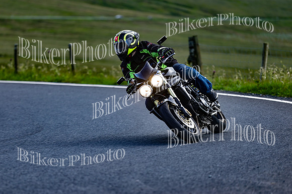 0W9A3917 (2)