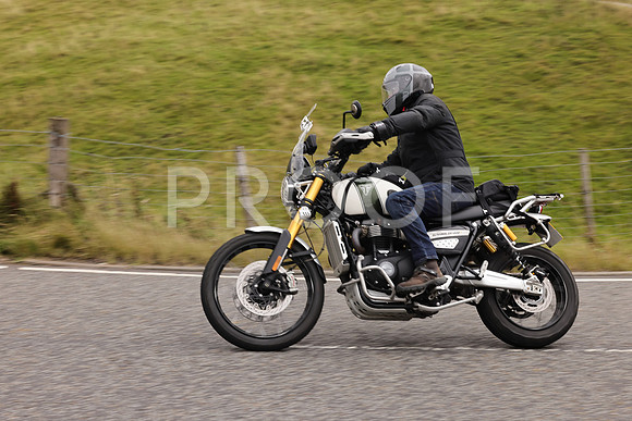 Steve - 3N3A9999 (3771)