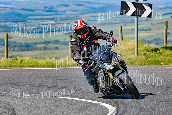 0W9A1979 (2)
