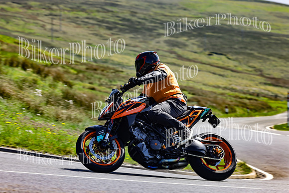 Daves (58)