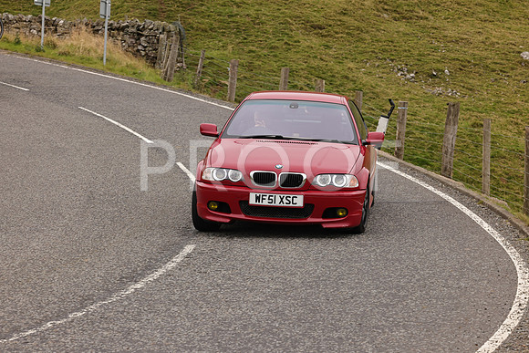 Steve - 3N3A9999 (3485)