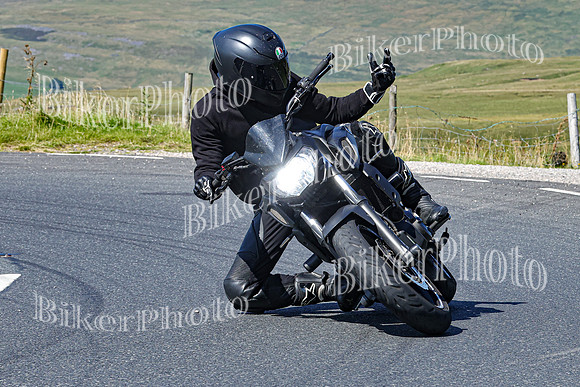 0W9A3907 (2)