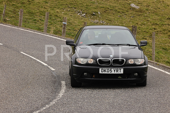 Steve - 3N3A9999 (2155)
