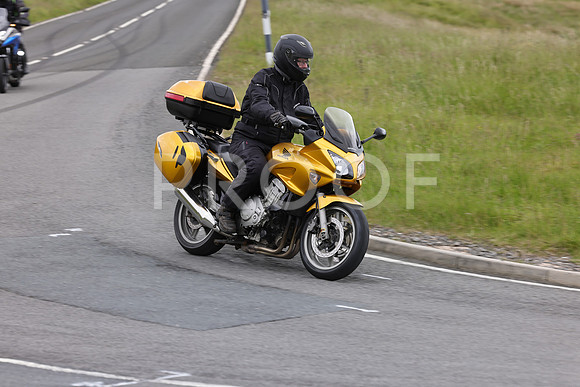 3N3A7835