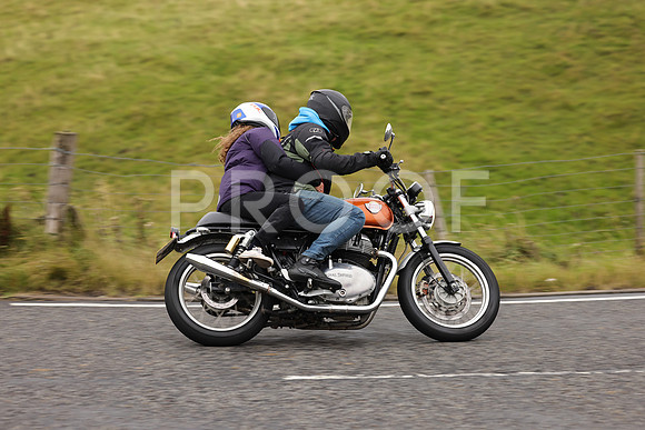 Steve - 3N3A9999 (1192)