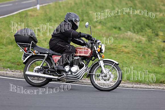 069A4195 (2)