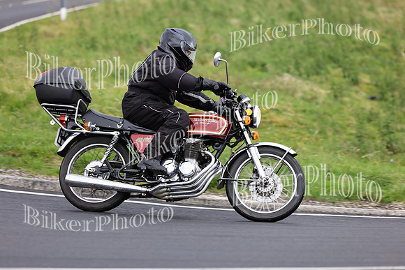 069A4196 (2)