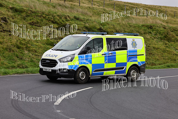 069A4662 (2)