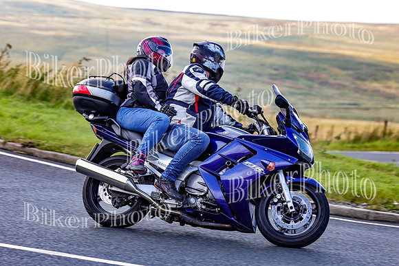3N3A1110 (2)