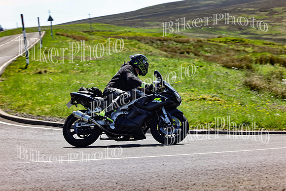 Daves (55)